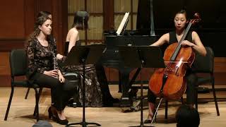 BRAHMS — Trio in A minor Op 114 [upl. by Franchot838]