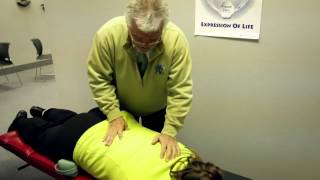 The Chiropractic Adjustment with Dr Fred Schofield [upl. by Assek]