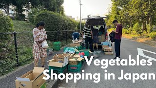 Housewife Fruits and Vegetables Shopping in Japan [upl. by Cherey600]