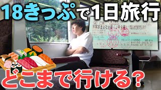 【格安】大阪駅から青春18きっぷで1日旅行！東西どっちのルートが楽しめるか対決！ [upl. by Lula]