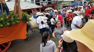 FIESTA DEL MANITO EN OCU  PANAMA [upl. by Sevart116]