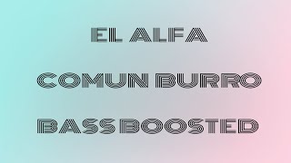 EL ALFA  COMUN BURRO  BASS BOOSTED [upl. by Arther436]