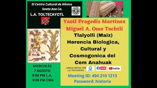 Tlalyolli Maiz Herencia Biologica Cultural y Cosmogonica del Cem Anahuak [upl. by Htebazie681]