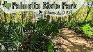 Palmetto State Park  What to See and Do in Palmetto State Park in Gonzales TX [upl. by Gaudette186]