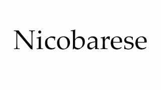 How to Pronounce Nicobarese [upl. by Ettelegna]