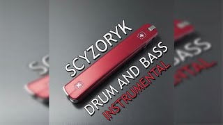 instrumental liroy scyzoryk ale to drum and bass [upl. by Anitsirt]