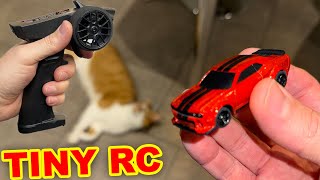 Worlds Smallest RC Car  Channel update [upl. by Eidnac]