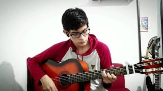 Fuentes De Ortiz  Ed Maverick Guitar Cover [upl. by Oribelle335]