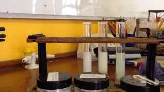 AQA Required Practical  identifying ions Test for Halide Ions [upl. by Dione]