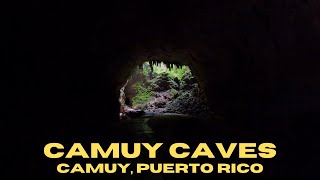 Walking Through the Third Largest Cave System in the World  Camuy Caves  Camuy Puerto Rico [upl. by Zosima]