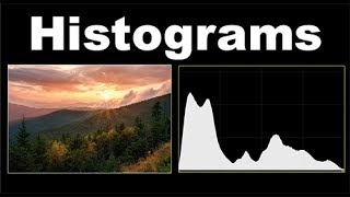 Histograms In Photography [upl. by Shank]