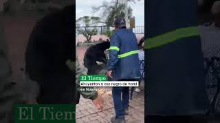 ⏳➡️ oso Chipinque chinpinque oso robo gracioso peligroso viral [upl. by Ttenaej]