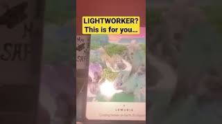 LIGHTWORKERS ➡️ ✨Your ULTRADETAILED psychic reading✨ lightworker [upl. by Ymor]