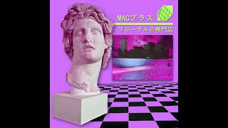 Macintosh Plus  リサフランク420  現代のコンピュー  Mr Introvert Remix [upl. by Adnuhsal]