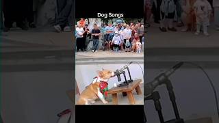 কুকুরের গান। Dog song। Best train up dog shorts viralreels dogsongs [upl. by Nived420]