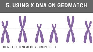 Using X DNA on GEDmatch [upl. by Tab93]