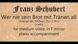 Wer nie sein Brot medium voice piano accompaniment [upl. by Jaime]