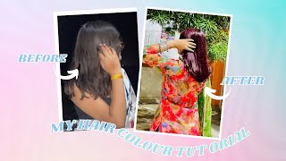 Colouring my hair again   diwali prep  paradyes  vlog [upl. by Bywoods]