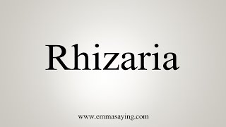 How To Say Rhizaria [upl. by Giulia630]