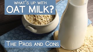 Whats Up with OAT MILK The Pros and Cons  Commercial Vs Homemade [upl. by Miguel]