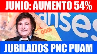 🗓️JUNIO AUMENTO DE 54 PARA JUBILADOS PENSIONADOS PNC Y PUAM DE ANSES HOY 2024 [upl. by Eelatan954]