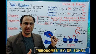 Ribosomes Structure and Functions [upl. by Gambrell]