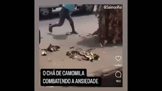 CHÁ DE CAMOMILA COMBATENDO A ANSIEDADE [upl. by Haduj]