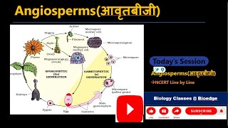 Angiospermsआवृतबीजी and alternation of generation NCERTCLASS 11 BIOLOGYNEET [upl. by Piks]