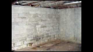 Guide To Damp Proofing Your Cellar  Basement Systems UK [upl. by Lekym]