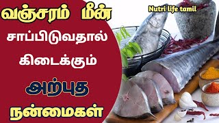 health benefits of eating seer fish in tamil  king fish  வஞ்சரம் மீனின் பயன்கள் [upl. by Nennarb]