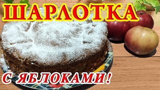 Идеальная и обалденно вкусная пышная шарлотка из яблок в духовке Тает во рту Всего 3 ингредиента [upl. by Iand]