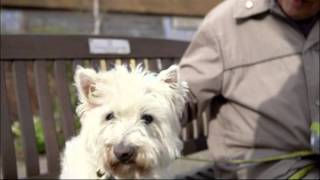 Pets at Home TV advert 2014  30s MyPetMoments [upl. by Ailati]