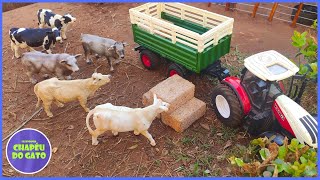 O Touro Bravo Está de Volta Aventura no Campo com as Vacas [upl. by Nair698]