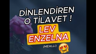 📢LEV ENZELNA DİNLE  🔴MEALLİ  LA YESTEVİ  HÜVALLAHÜLLEZİ  Hafız Muhammed Emin Çınar [upl. by Eedoj]