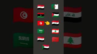 Arabic flags and their songs  stand with Palestine 🇵🇸 freepalestine arabic songs [upl. by Ludmilla]