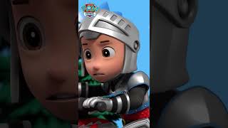 Rescue Knights save the Baby Dragons Shorts PAWPatrol [upl. by Iel564]