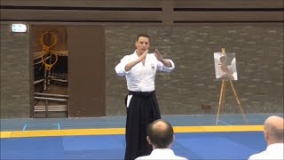 Aikibudo Jishindo Aikidofestijn 2018 [upl. by Costanzia]