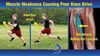 Faster Sprint Times by Improving Knee Drive  Muscle Weakness Causing Poor Knee Drive [upl. by Nadruoj]