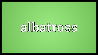 Albatross Meaning [upl. by Siekram524]