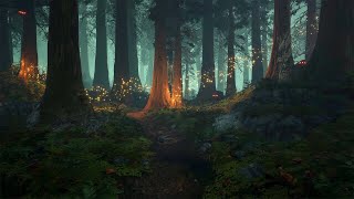 Enchanted Forest  Music amp Ambience ✨🌲🧚🏻 [upl. by Rebmit]