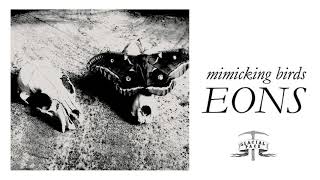 Mimicking Birds  Memorabilia Official Audio [upl. by Monjo]