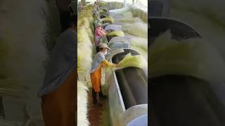 Sisal Soles Processing Full Video handmade natural shoes [upl. by Eeraj]