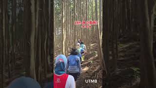 트랜스제주 UTMB 트레일러닝 트레일워킹 한라산 Jeju 글로벌미녀 trailrunning [upl. by Aicirtan]