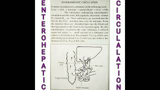 Enterohepatic circulation liver bile salt bile acids mcqs biology [upl. by Kristian]