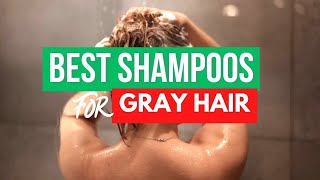 Top 3 Shampoo for Gray Hair 2024 Experts Picks [upl. by Haeel286]