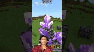 MINECRAFT  MUTANT BEE💀 minecraft minecraftmemes [upl. by Wymore]