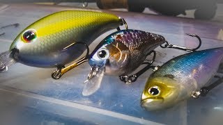 4 Crankbaits That Keep Catching Bass In Fall and Winter [upl. by Herbie]