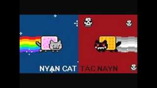 Nyan Cat Theme song  Download Link [upl. by Acinomahs]