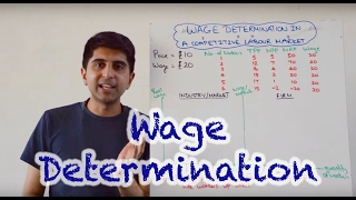 Wage Determination in a Perfectly Competitive Labour Market [upl. by Seuqram]