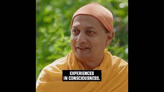 Consciousness is SelfLuminous  Swami Sarvapriyananda [upl. by Ramsa476]